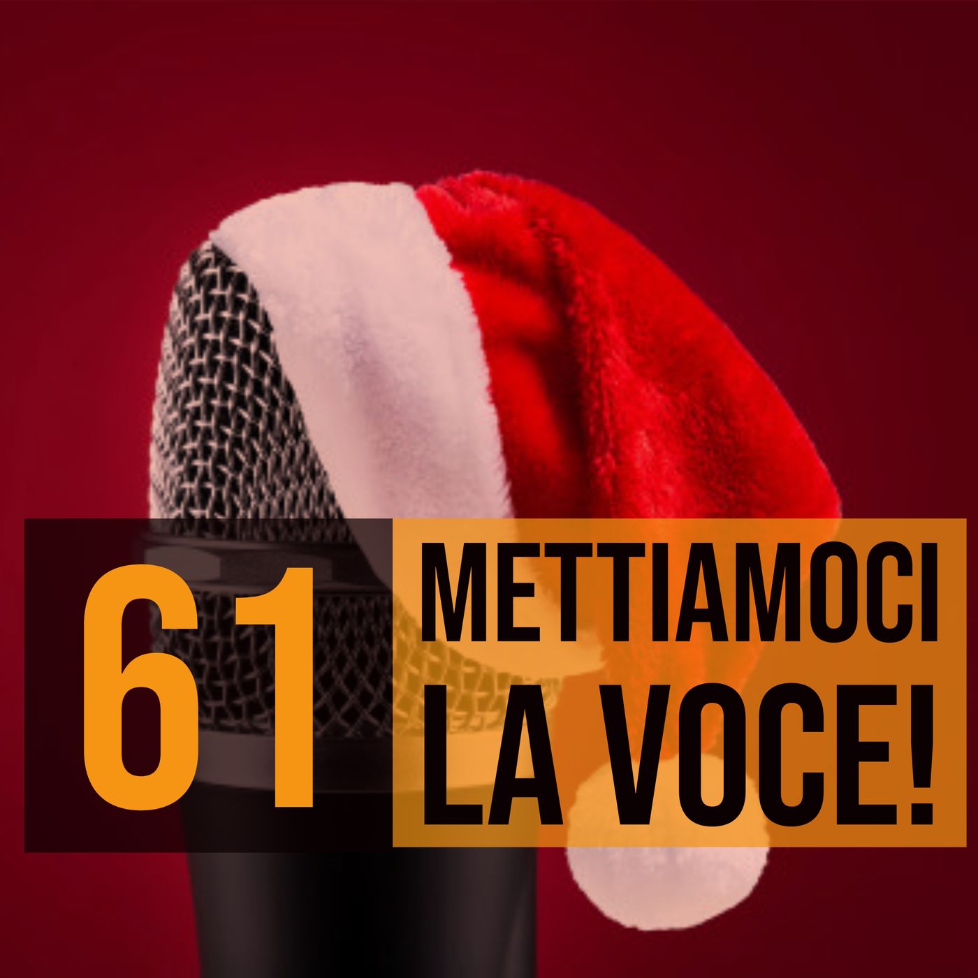 Mettiamoci la Voce