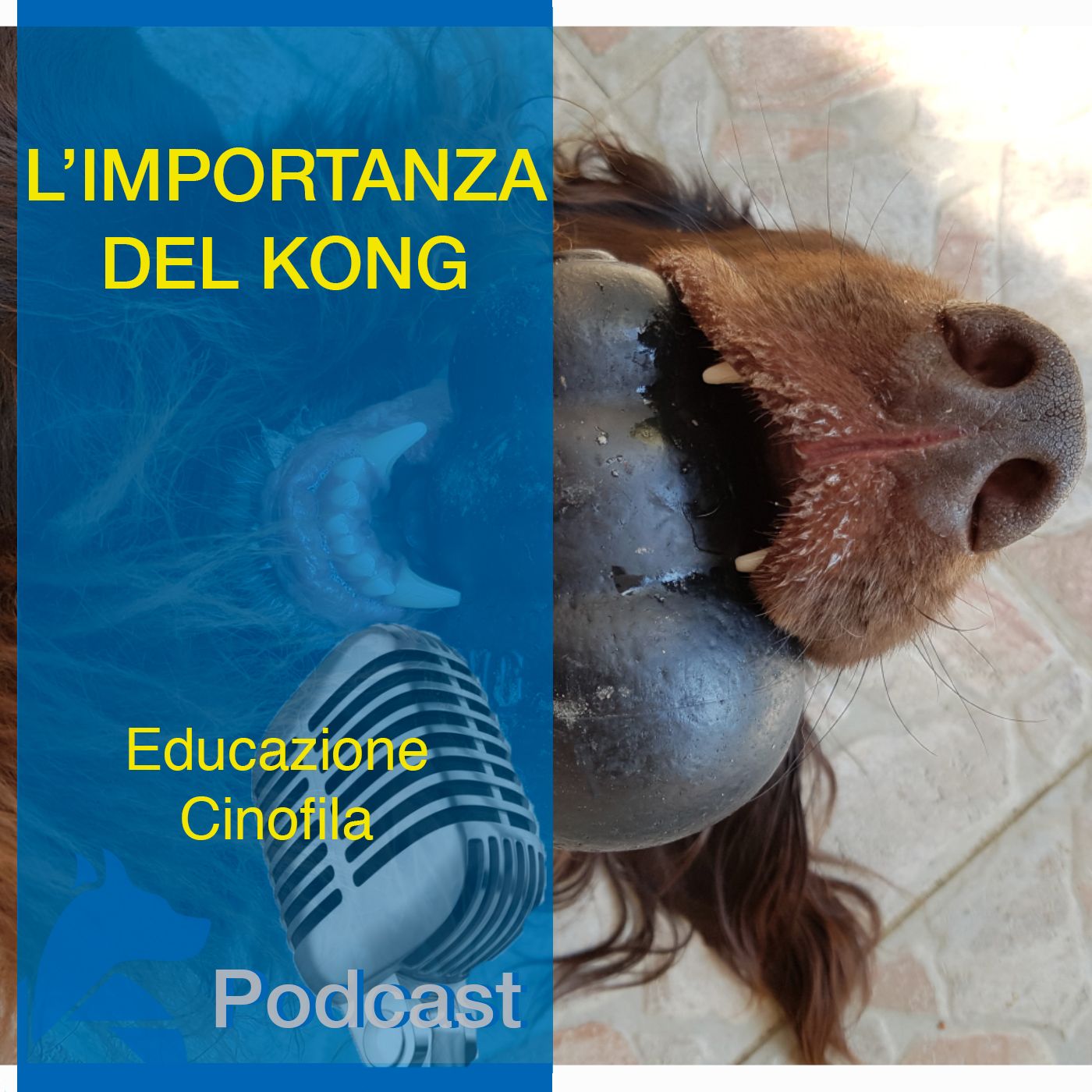 StiCani Educazione Cinofila
