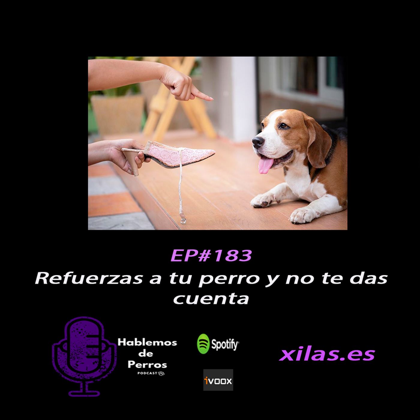 Hablemos de perros