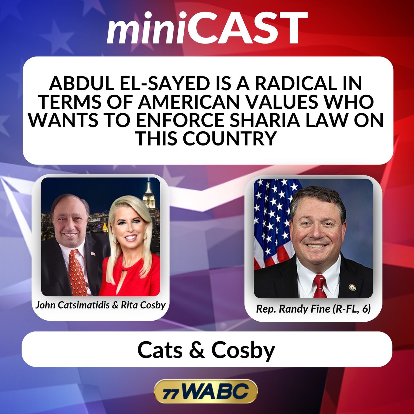 Rep. Randy Fine: Abdul El-Sayed is a Radical in Terms of American Values Who Wants to Enforce Sharia Law on this Country episode artwork