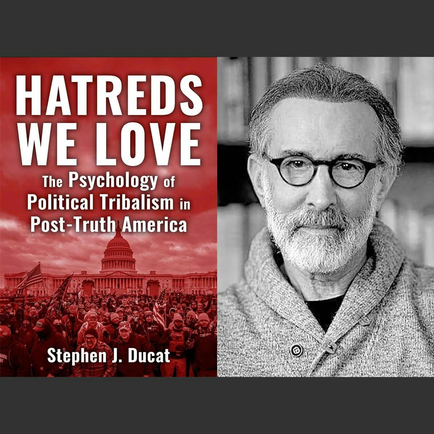 Political Tribalism: Hatreds We Love episode artwork