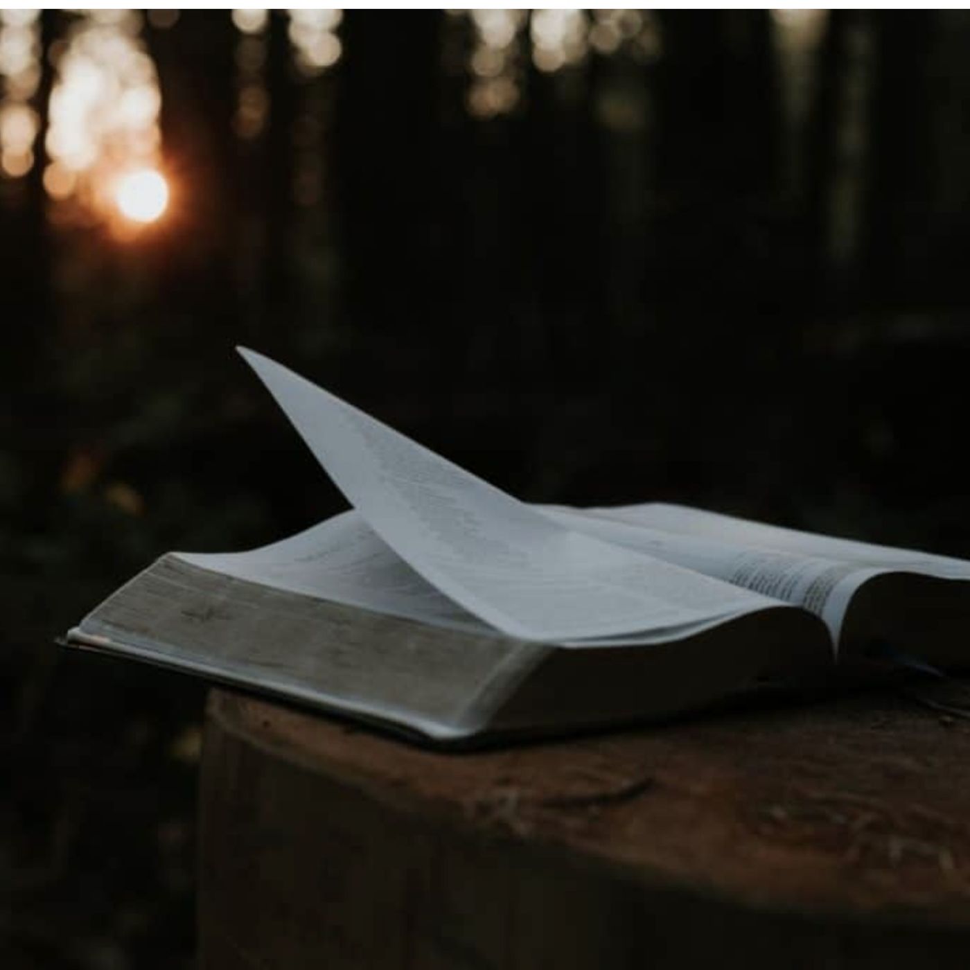 Psalm chapter 143 w/ Donny Shankle