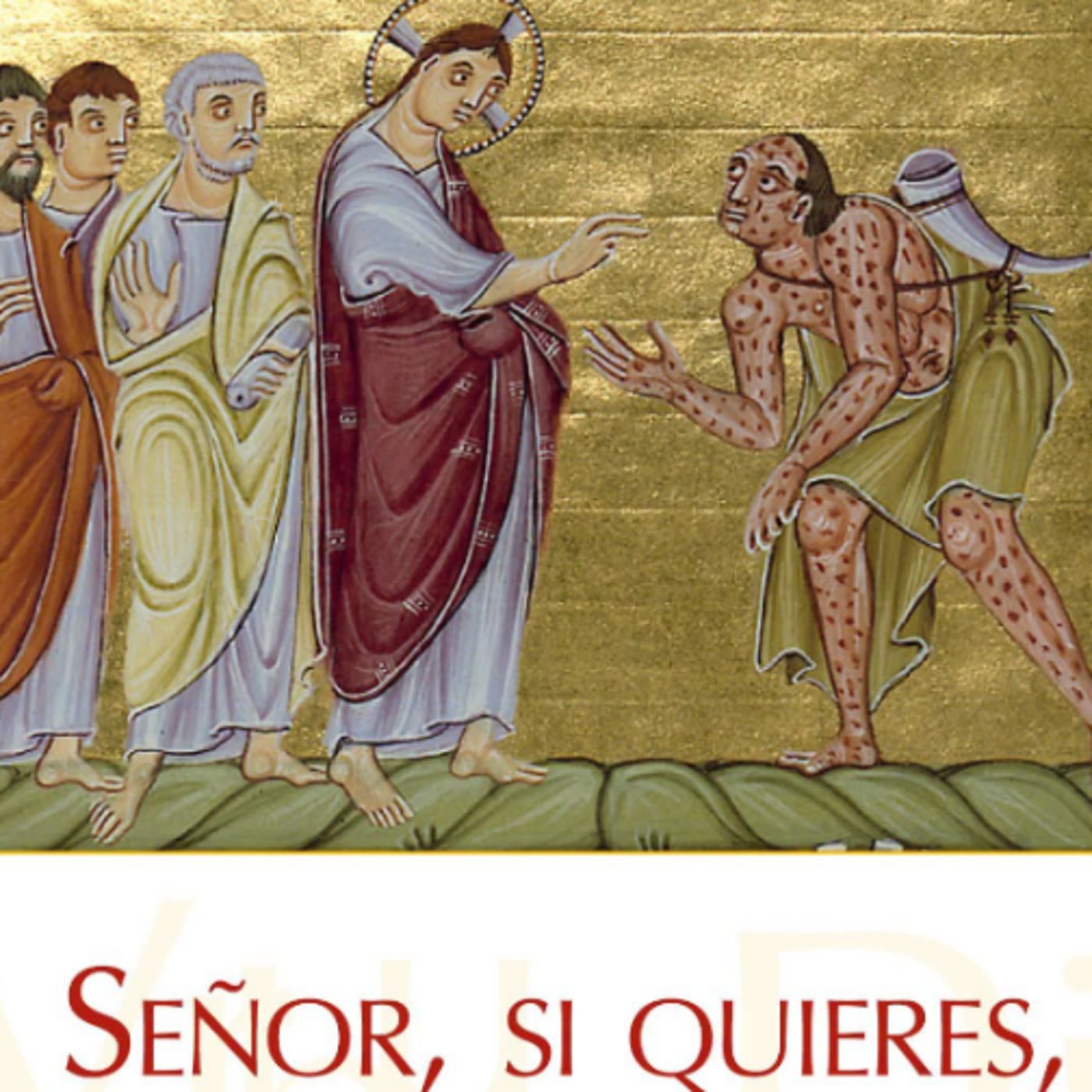 Santo Evangélio Diario 26:de junio Mons Enrique Diaz Diaz episode artwork