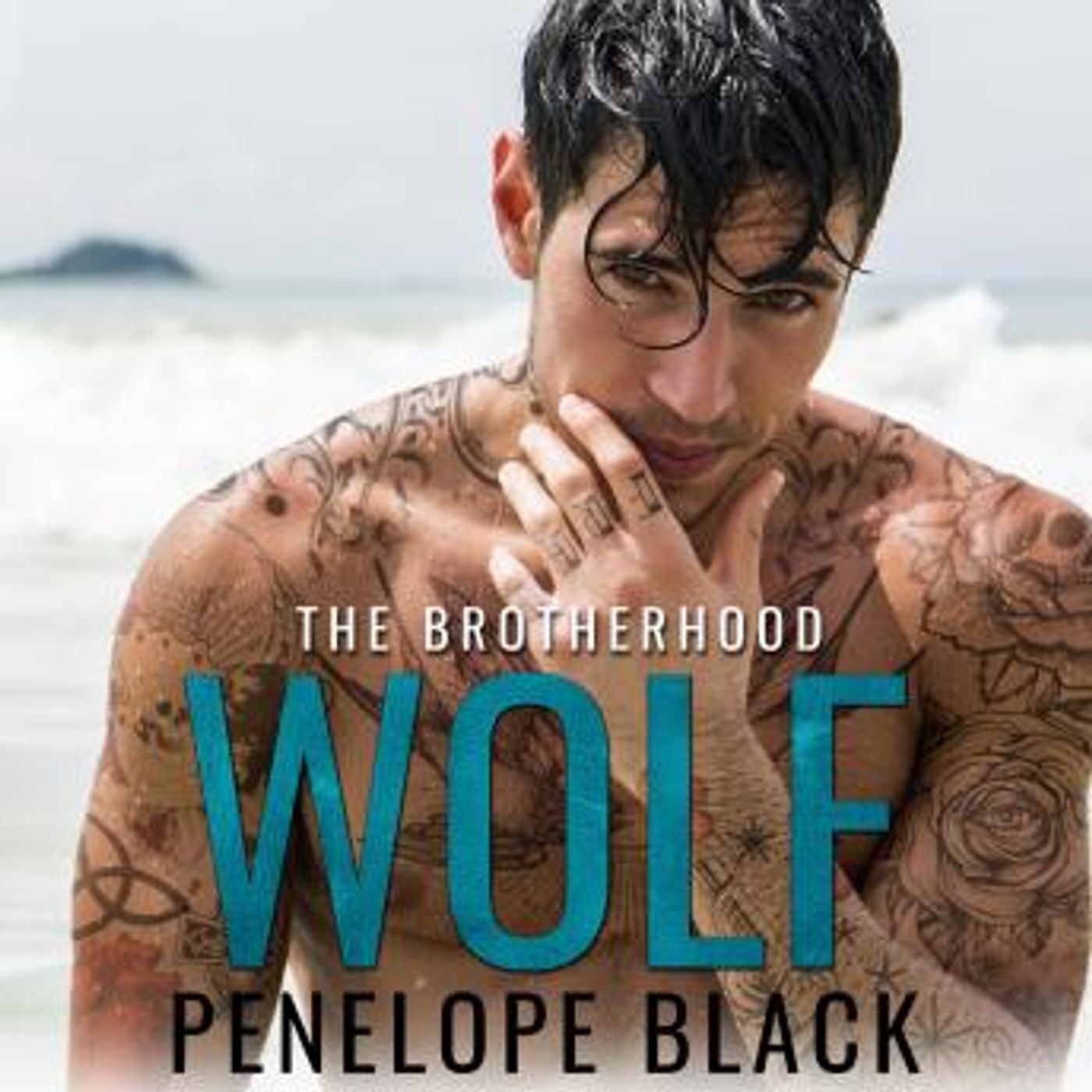 Download Latest Full Audiobooks in Romance, Modern