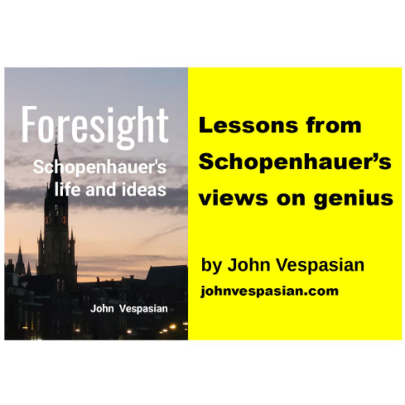 Lessons from Schopenhauer’s views on genius episode artwork