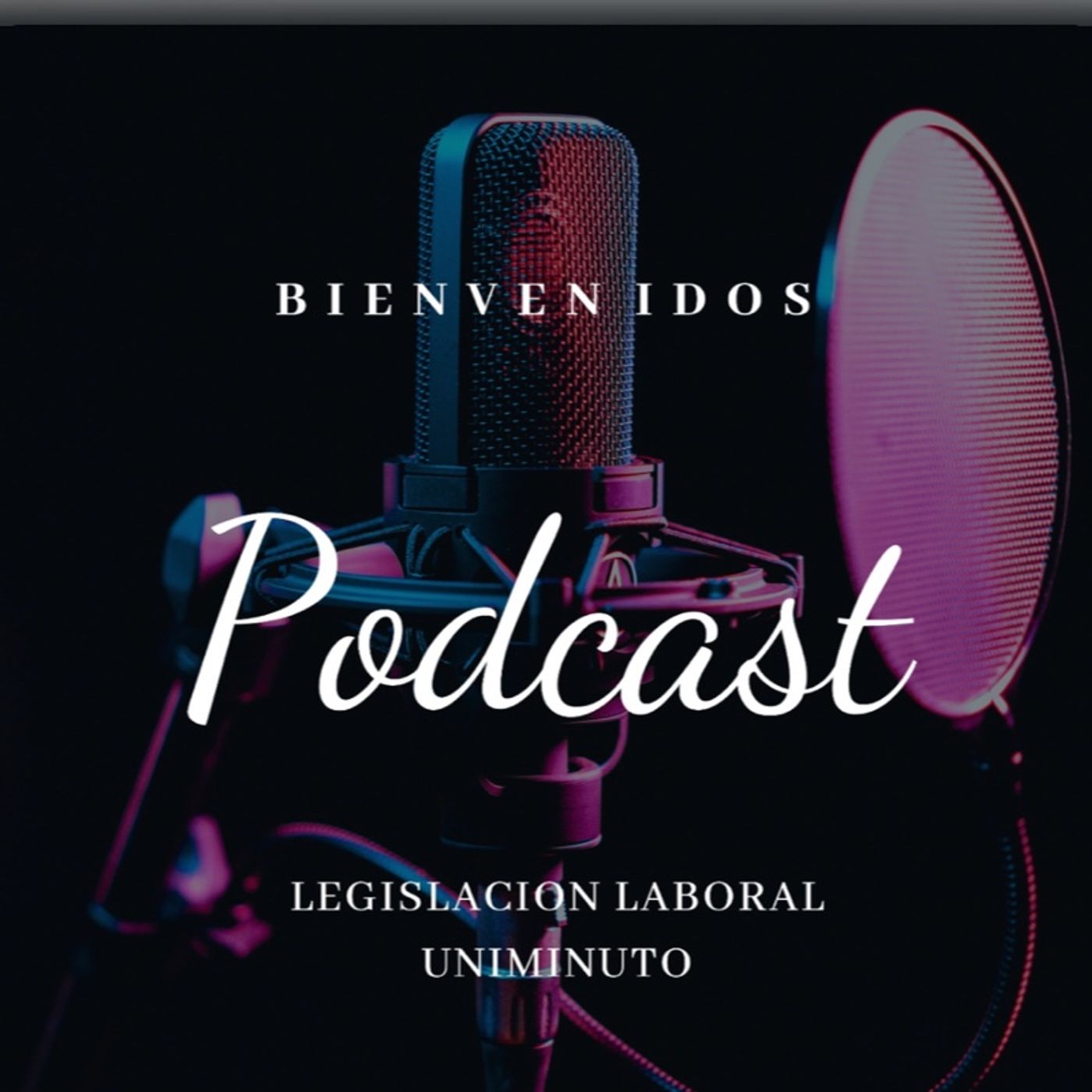 LEGISLACIÓN LABORAL episode artwork