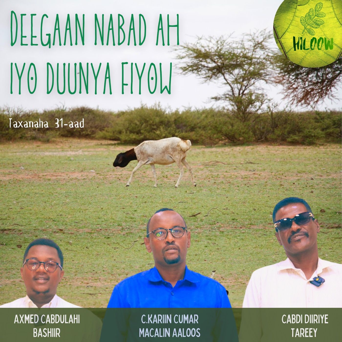 31. Deegaan nabad ah iyo duunya fiyow episode artwork