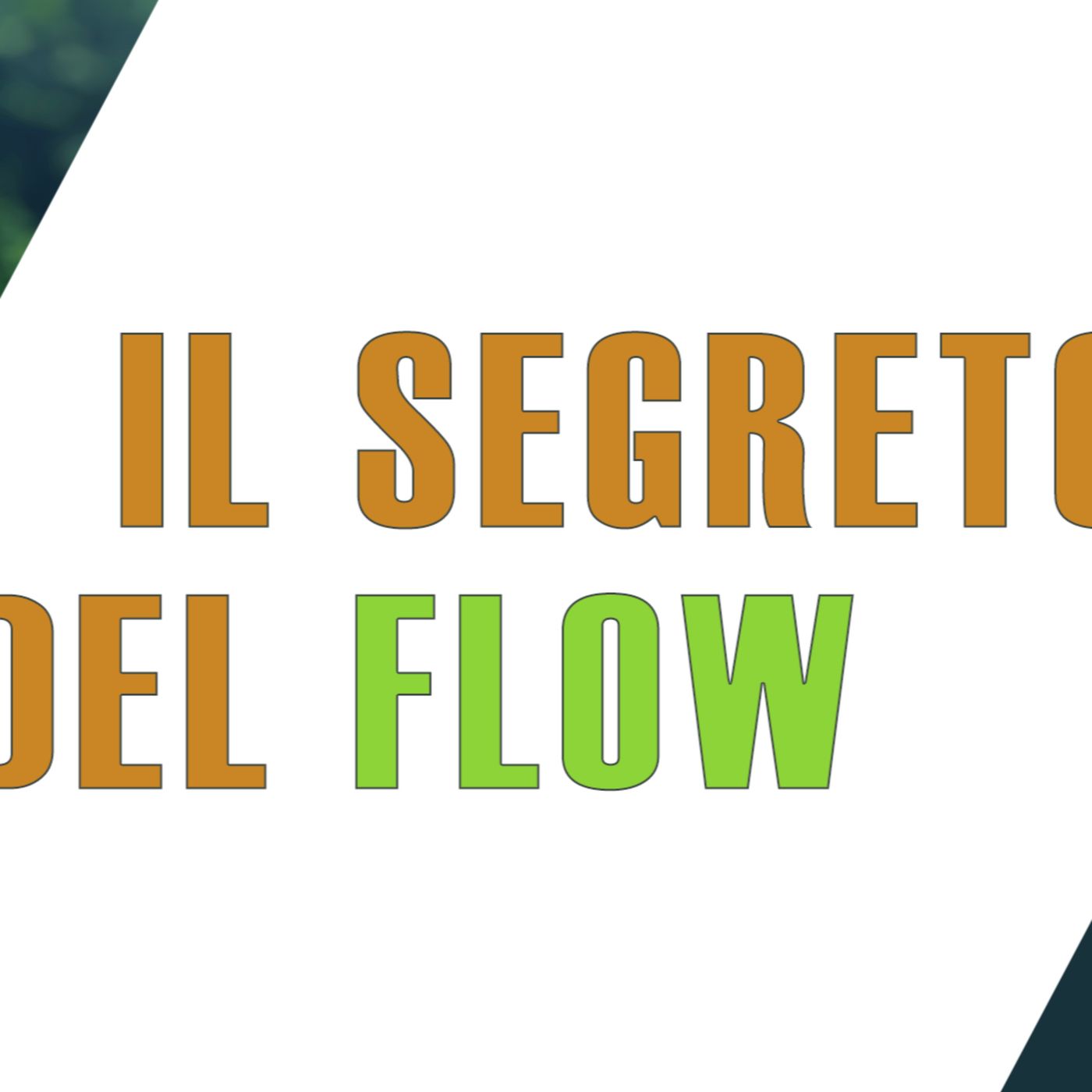 Sei stato nel FLOW e forse non lo sai episode artwork