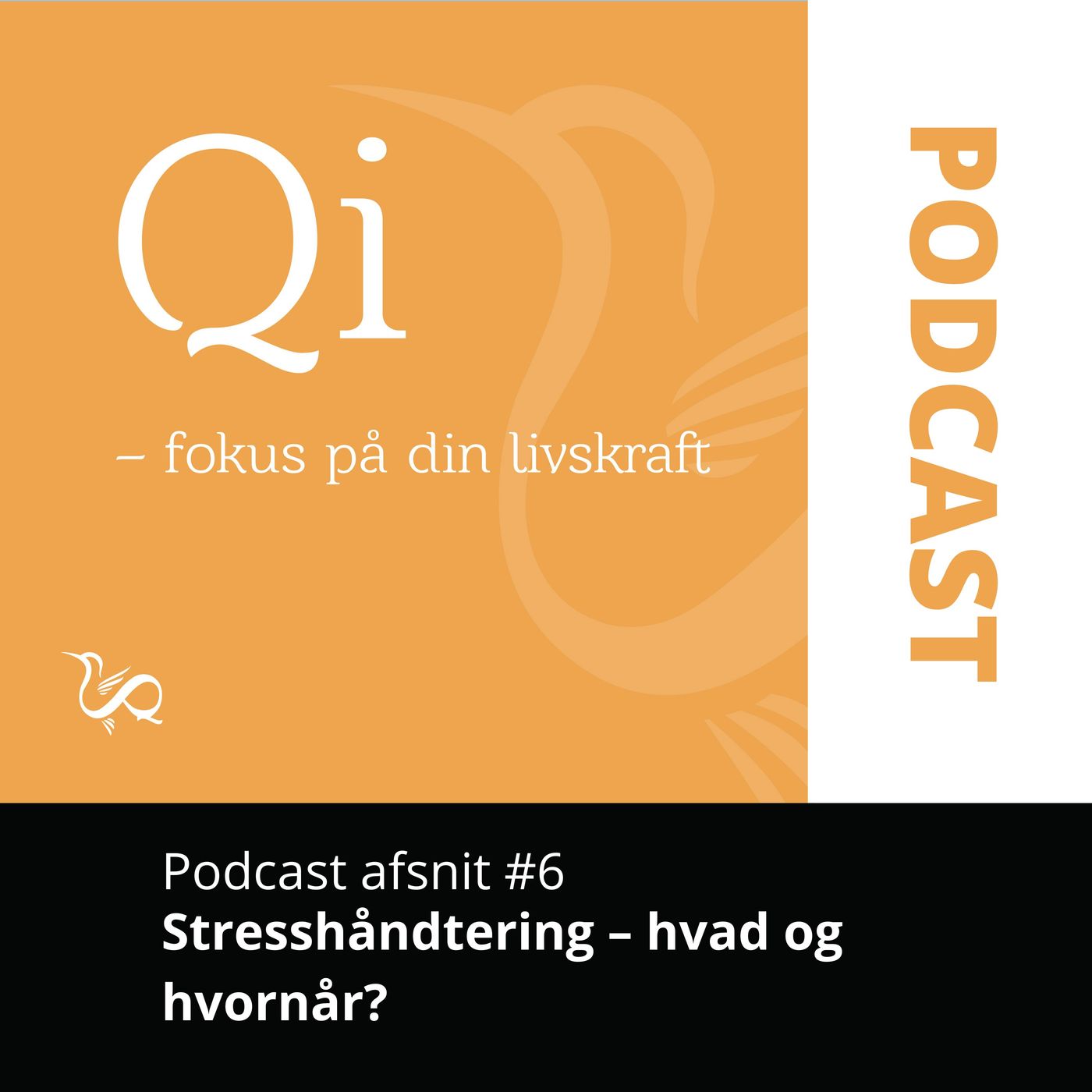 Qi - Fokus på din Livskraft