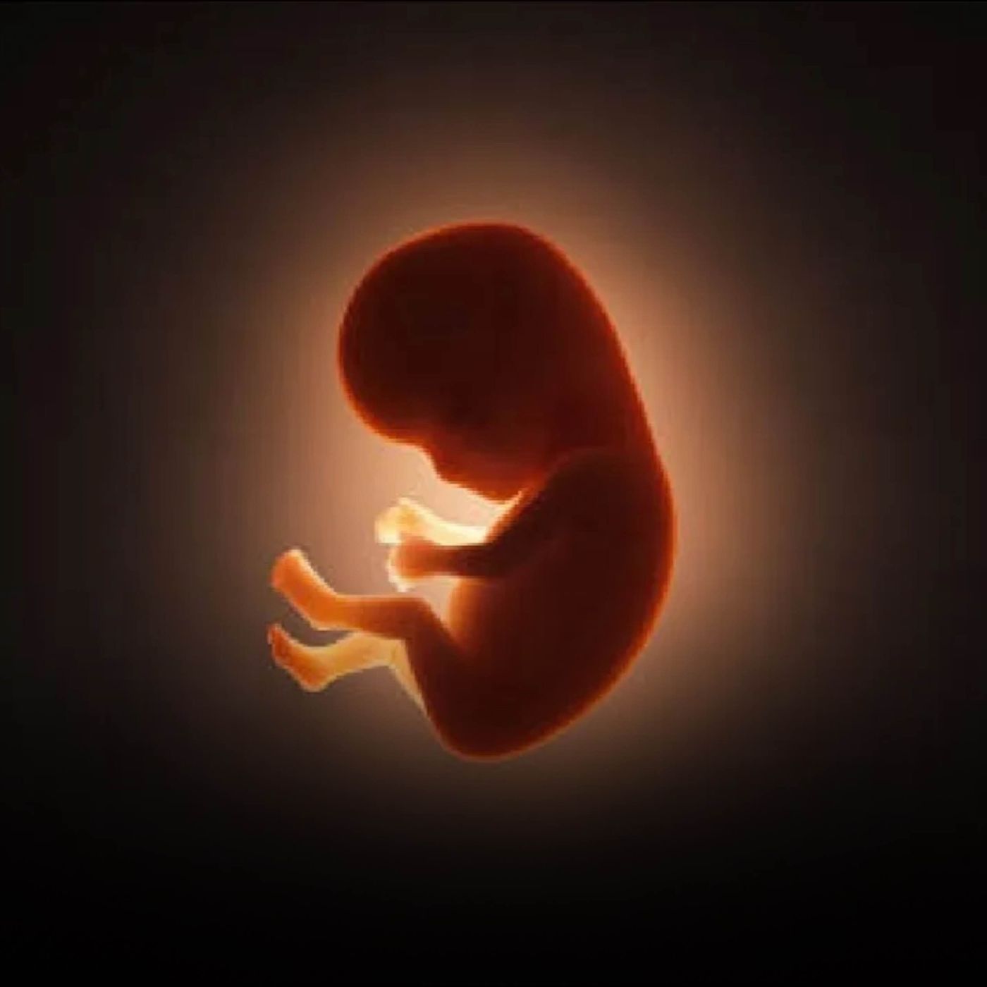 In the Womb of your Mother | Mufti Menk Podcast