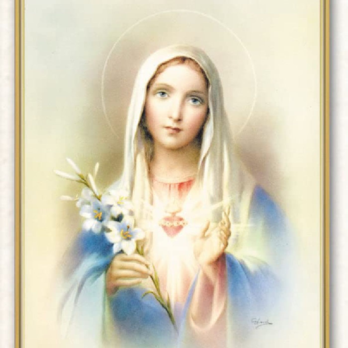 La Reflexión del Día "La escuela del Inmaculado Corazón de María" episode artwork