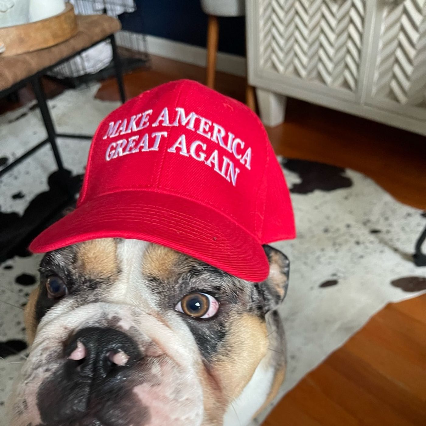 “A voice for all”