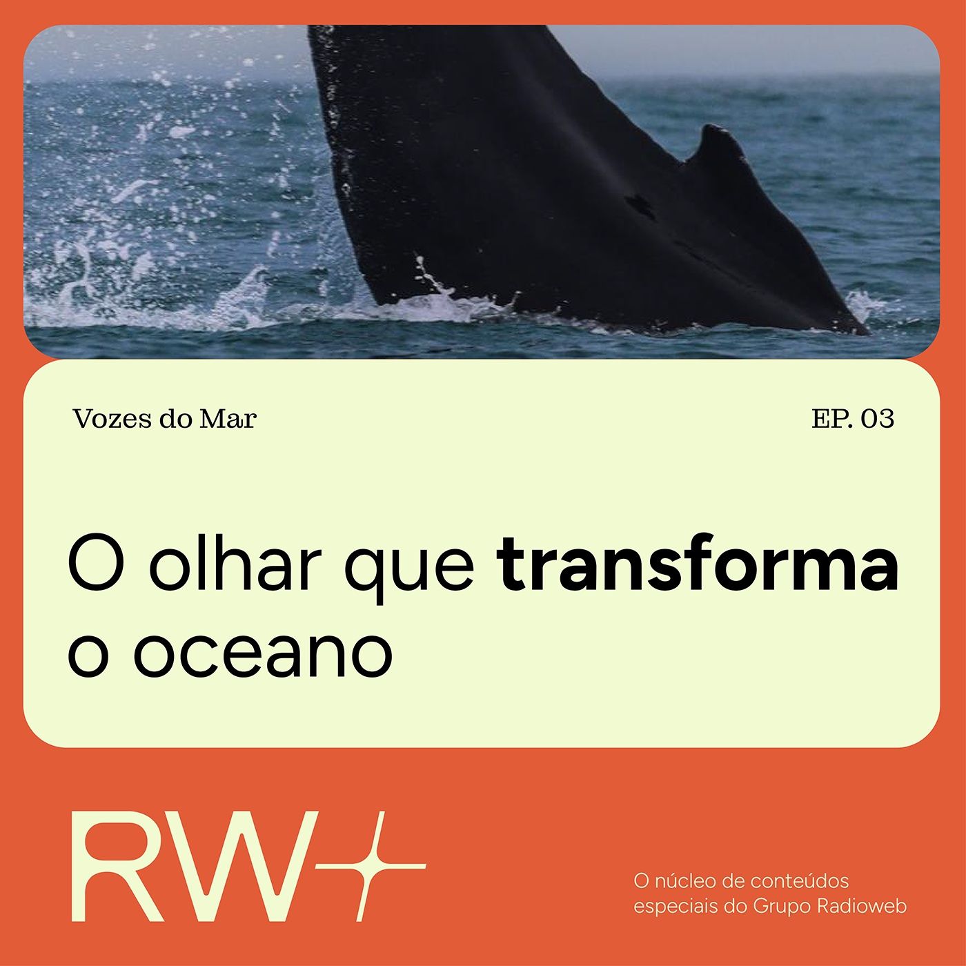 Vozes do Mar: fotógrafo relata encontro transformador com baleia episode artwork