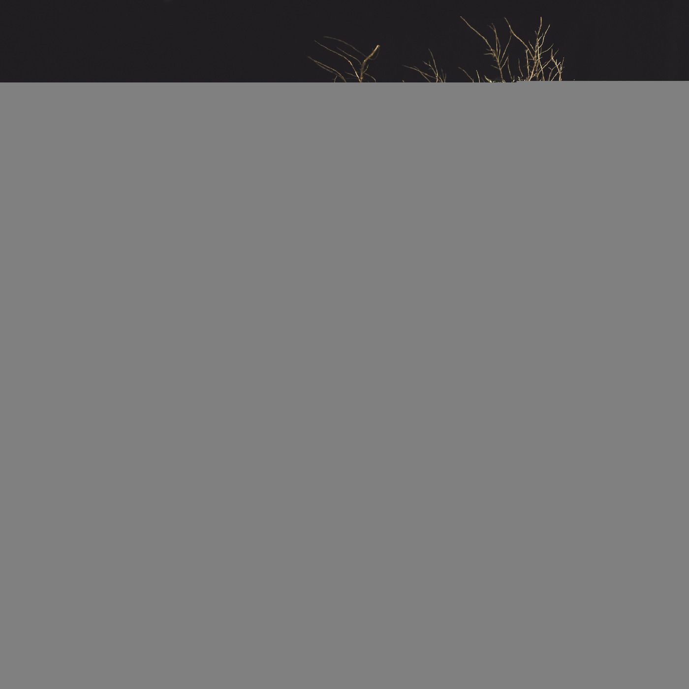 Indie Casting