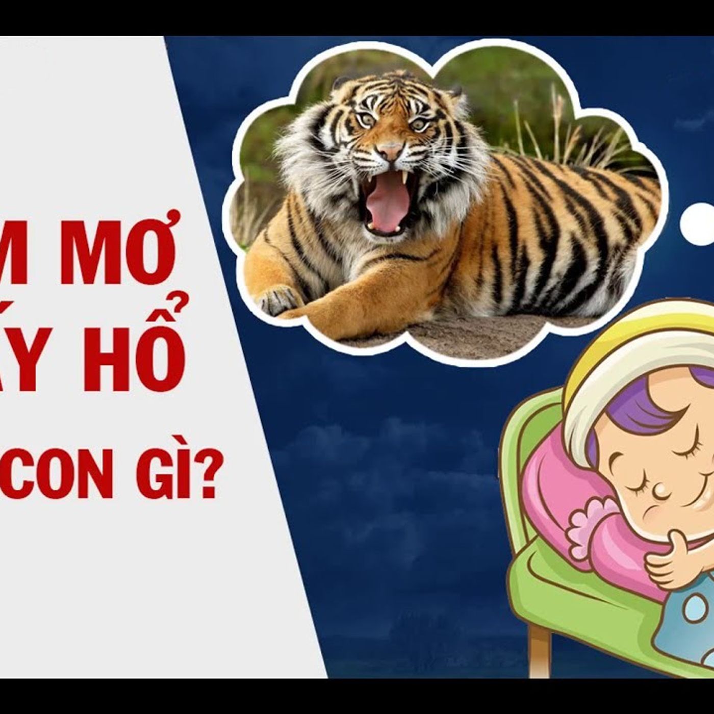 Mơ Thấy Con Hổ: Bí Ẩn Đằng Sau Và Con Số May Mắn episode artwork