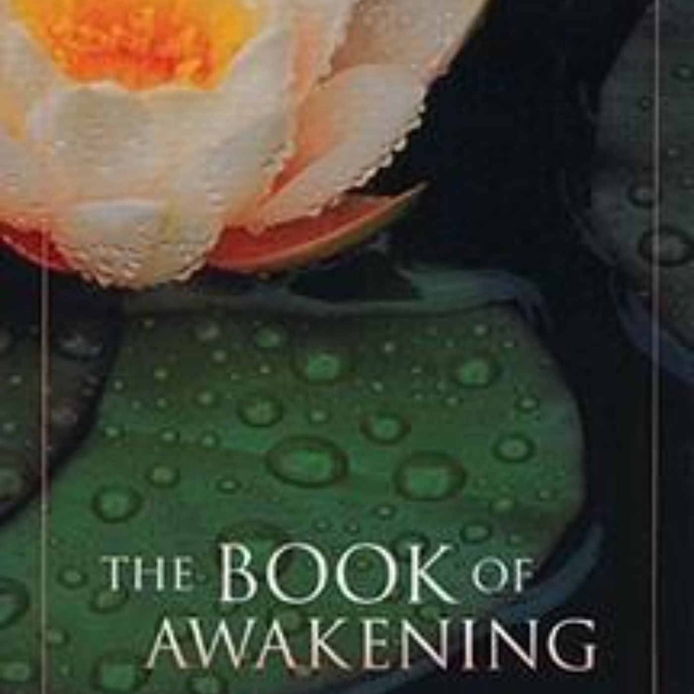 Embracing Each Day: A Journey Through 'The Book of Awakening' by Mark Nepo