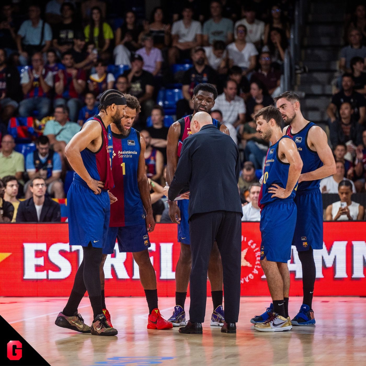 Gigantes Daily, baloncesto al día