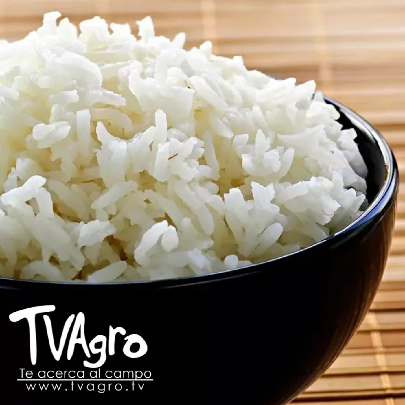 TV AGRO