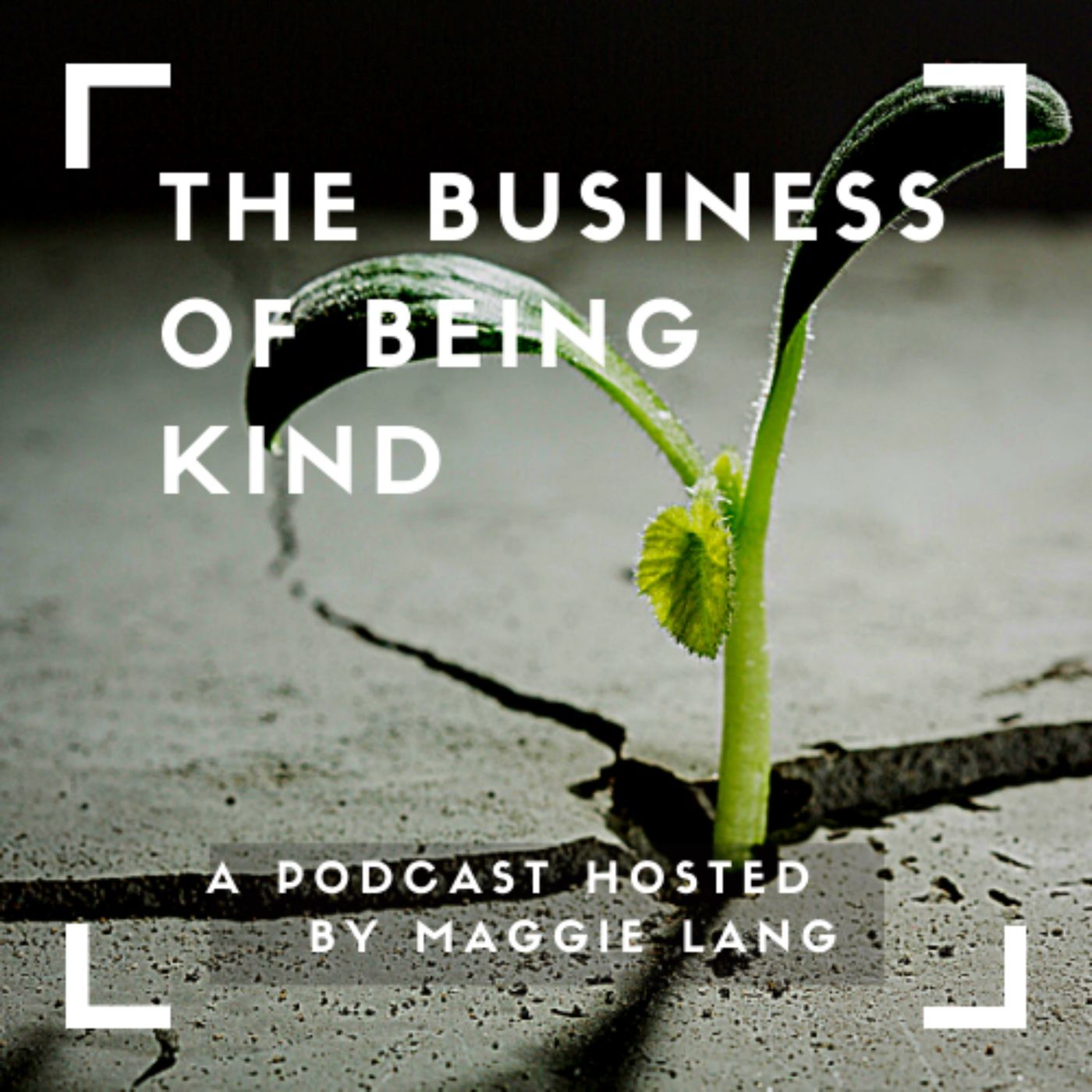 The Business of Being Kind
