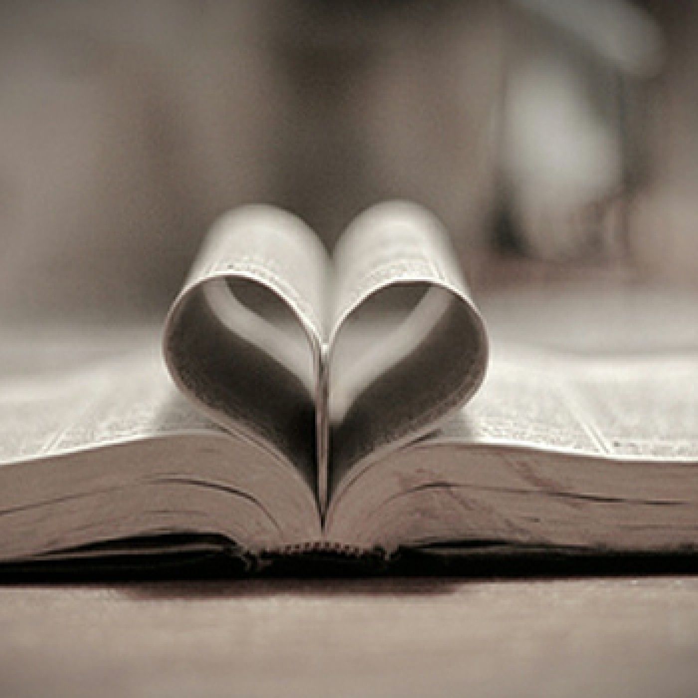 Biblia Por La Mañana