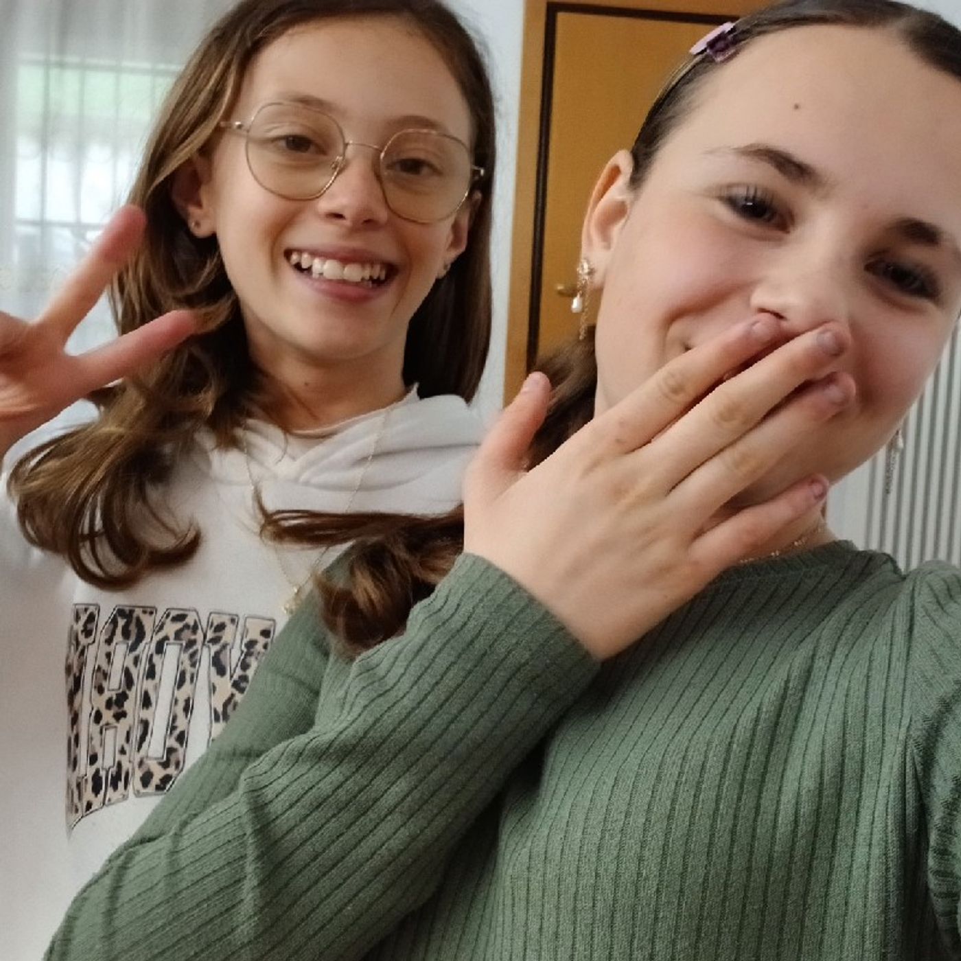 Il potcast di Sophia e Virginia episode artwork