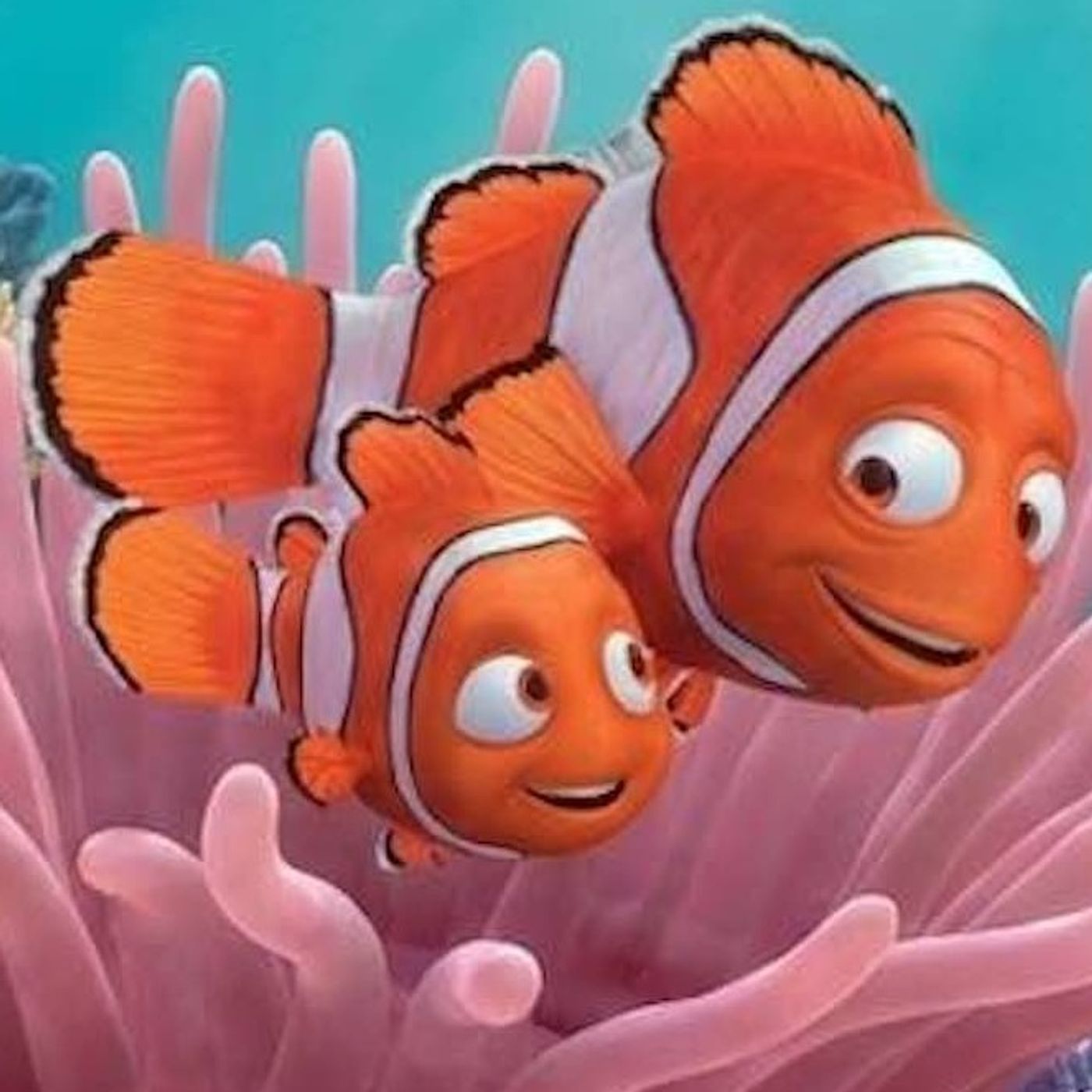 🌊 El Largo Viaje de Regreso a Casa 🐠 Valorar al diferente 🌊 El Largo Viaje de Regreso a Casa 🐠 Valorar al diferente