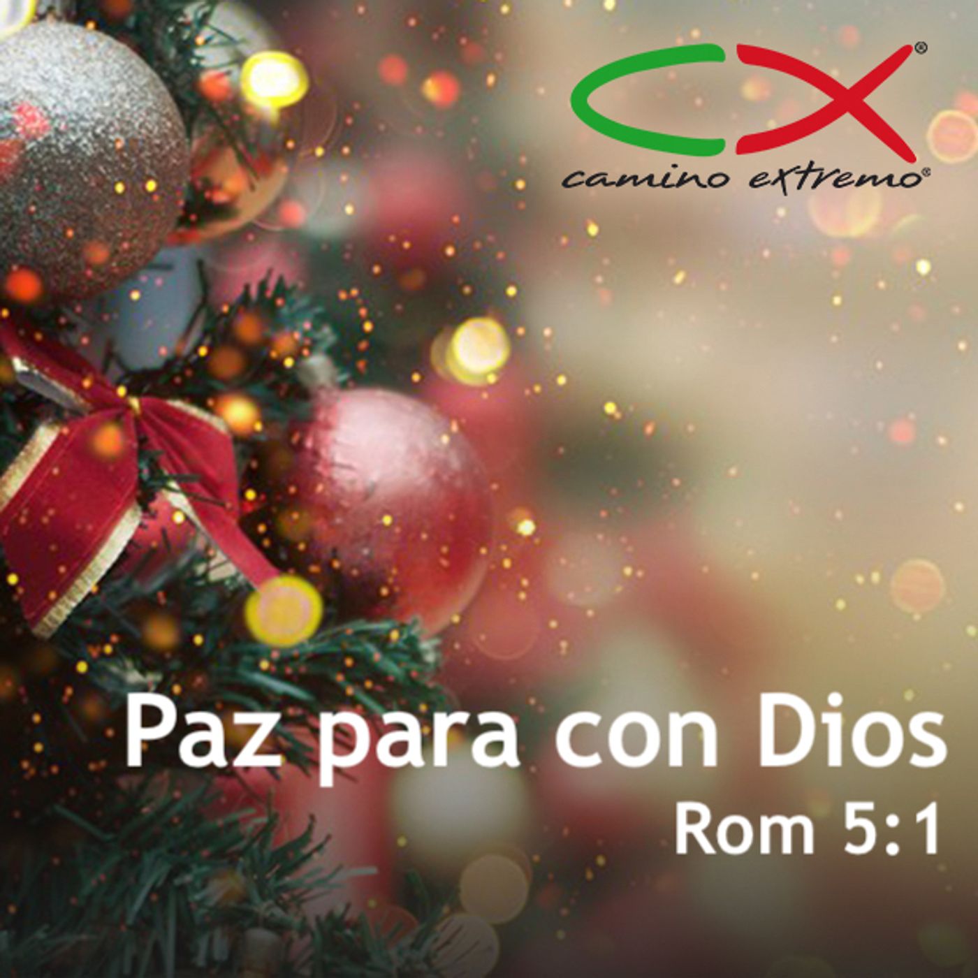 Oración 23 de diciembre (Paz para con Dios) episode artwork