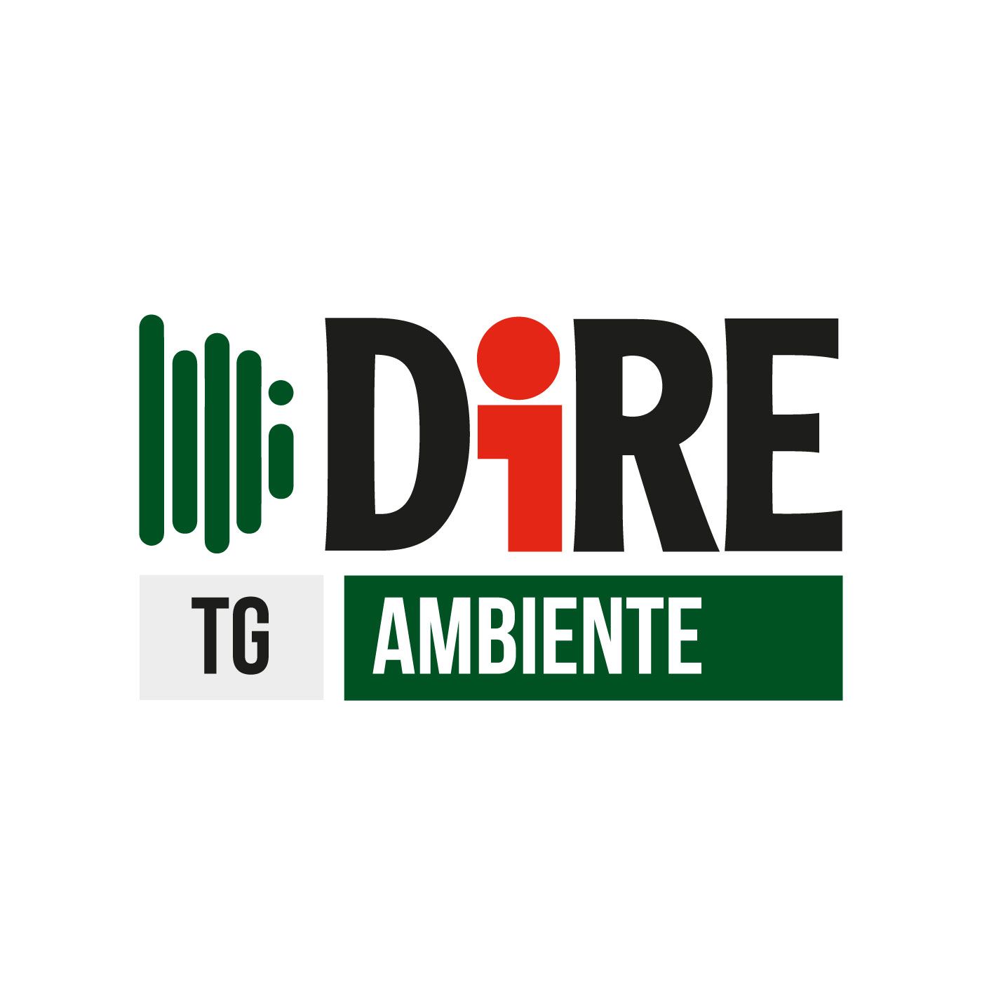 Dire Podcast, Diamo voce alla notizia