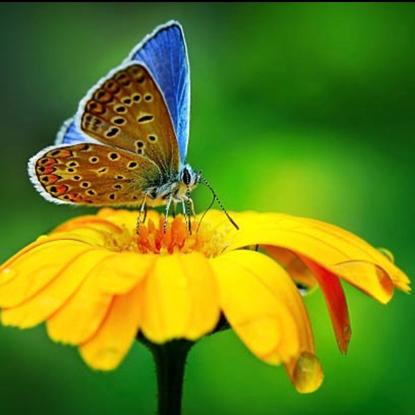 How Kids Grow From Adversities