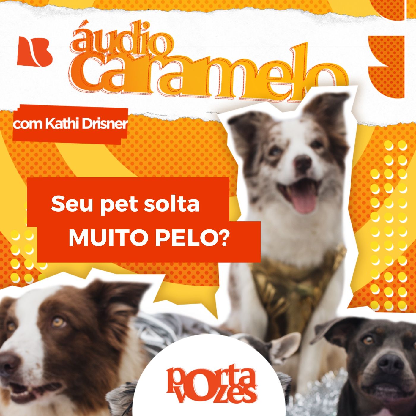 Seu pet solta muito pelo? | Áudio Caramelo episode artwork