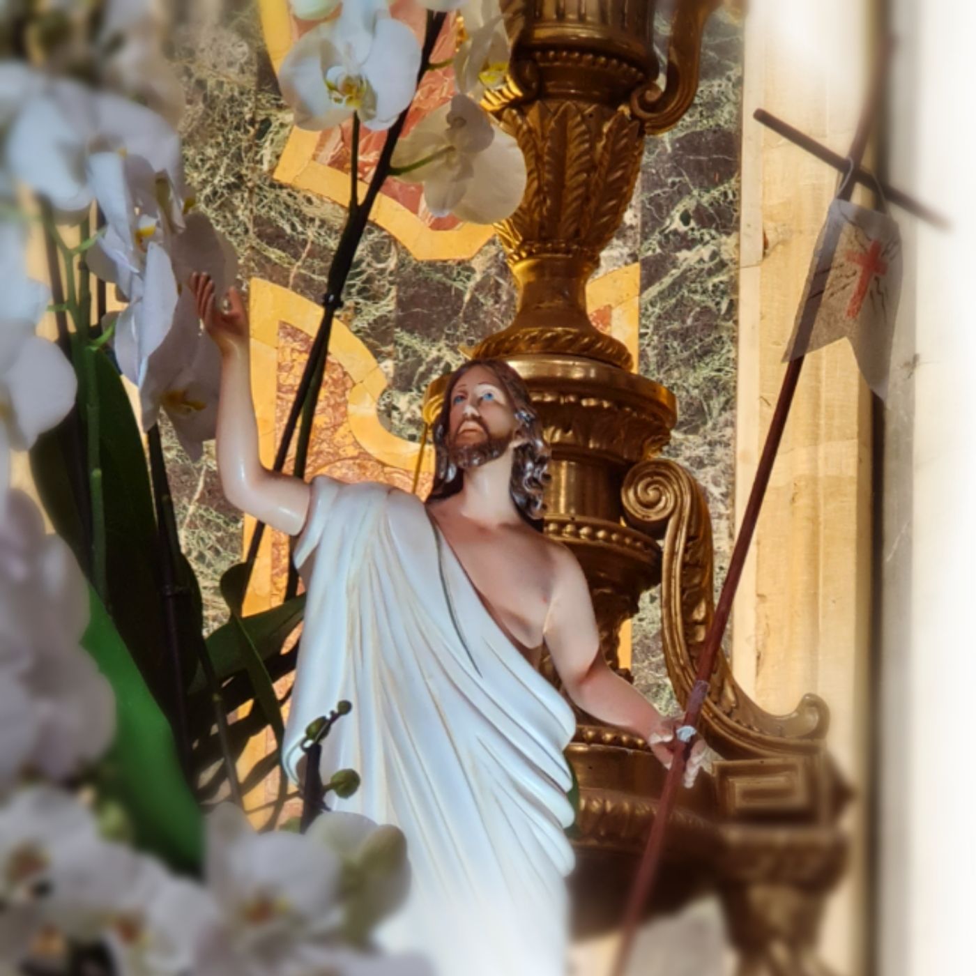 Vangelo e Omelia, 09 Aprile 2023 episode artwork