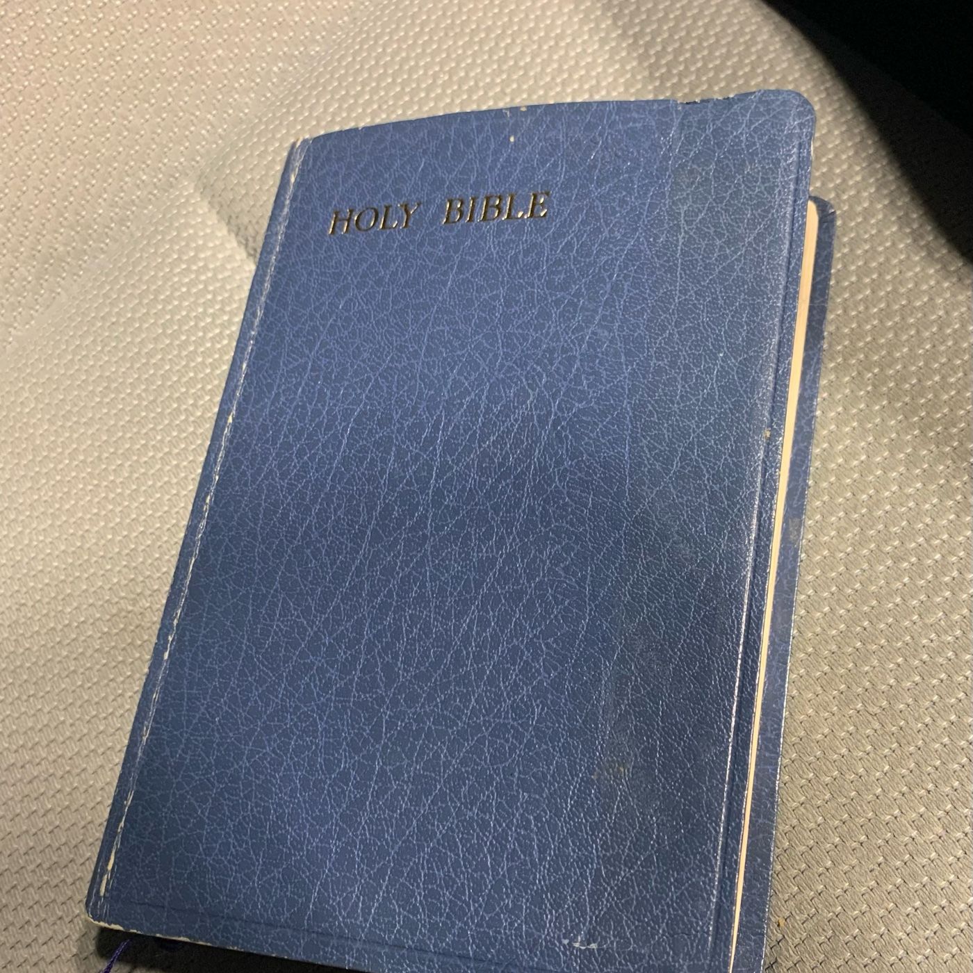 Wandering Through Scripture