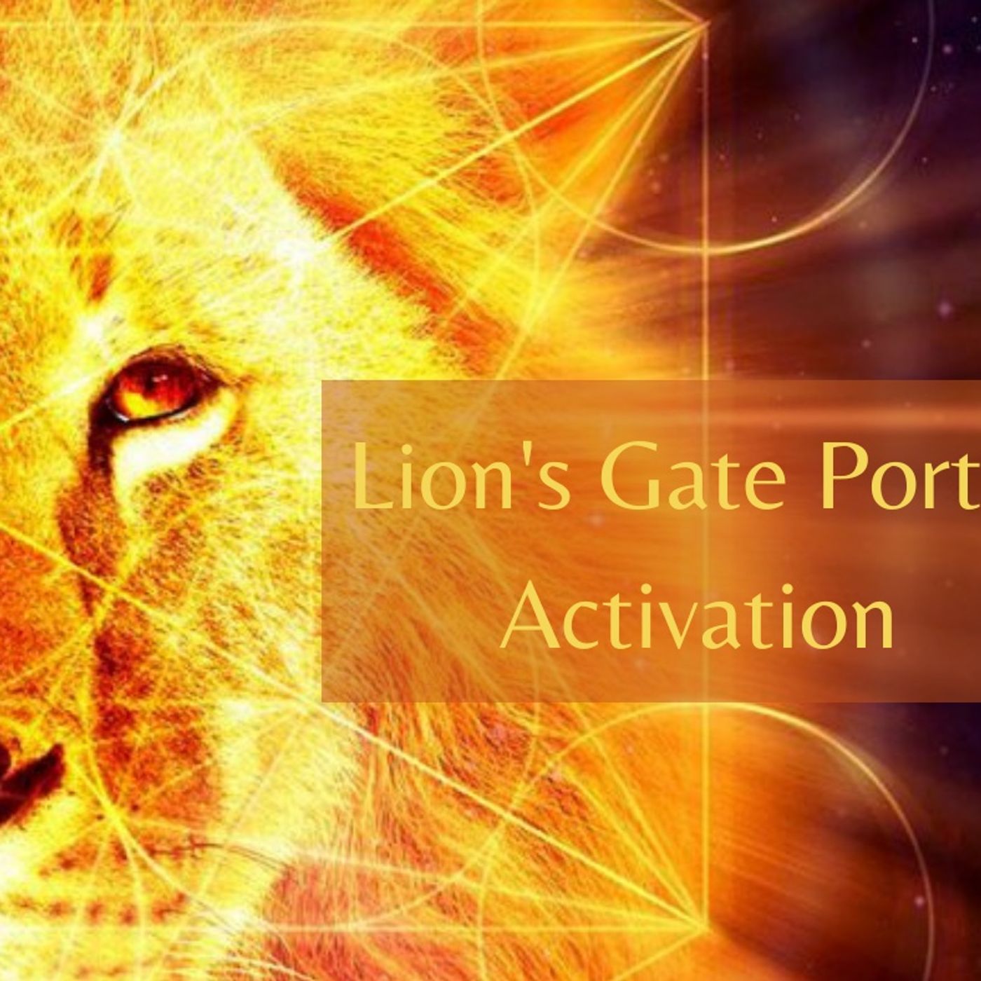 🌌 Lion's Gate Portal Activation ✨Meet Your Future Self in a Parallel Universe 🌌