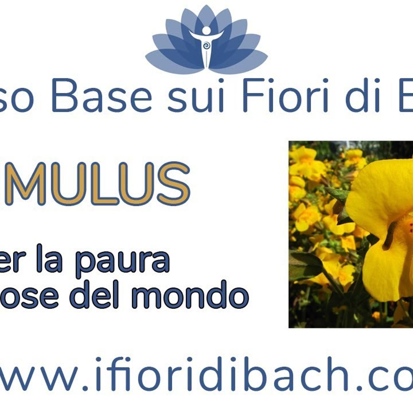 Fiori di Bach in pillole
