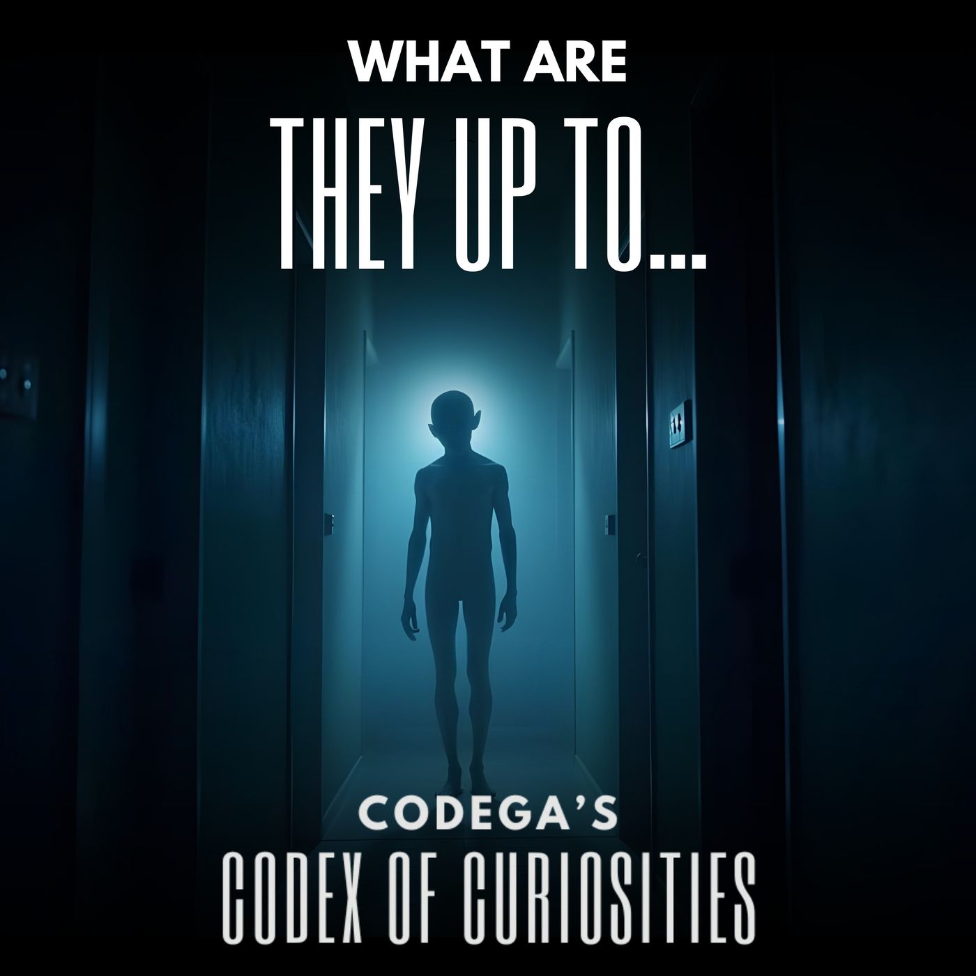 Codega\'s Codex of Curiosities