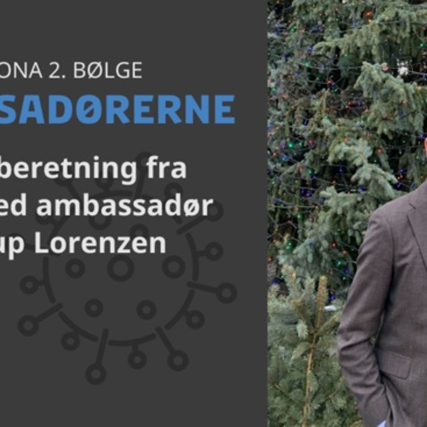 Ambassadørerne