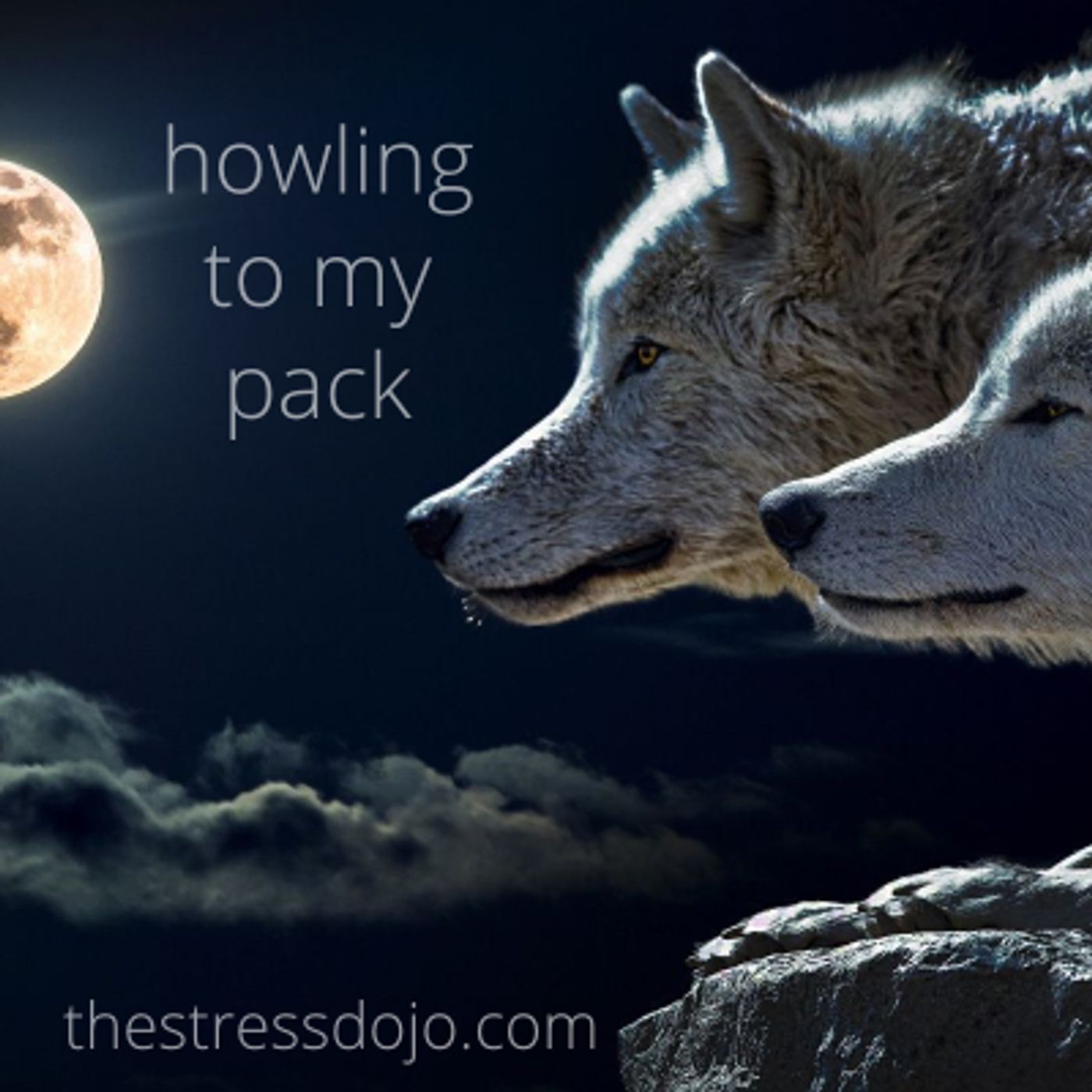 The Stress Dojo