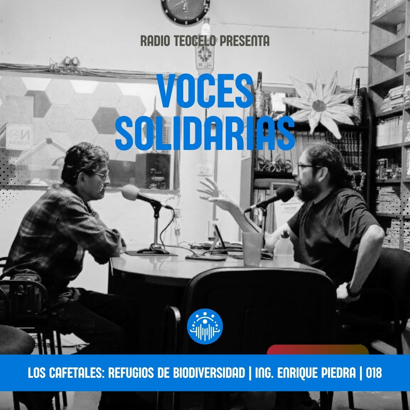 Voces Solidarias