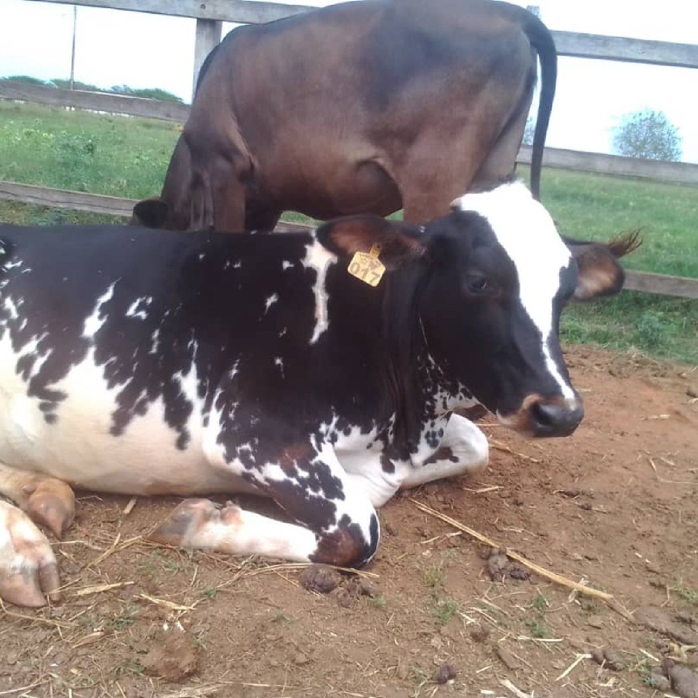 El podcast de Alexander Ventura