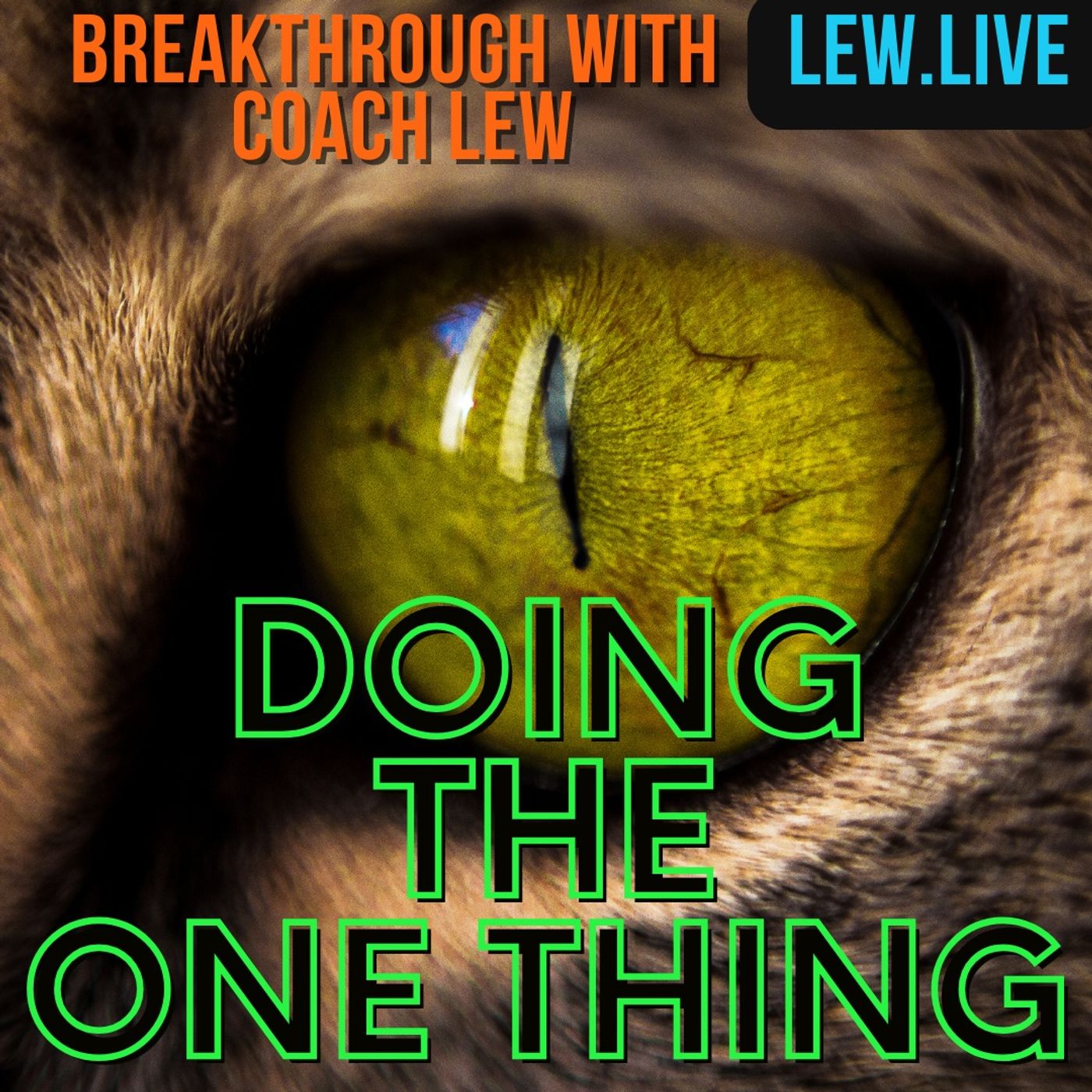 Doing The ONE thing episode artwork