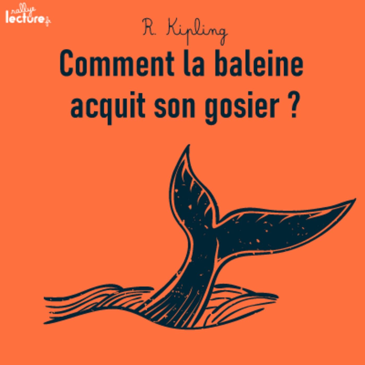 Les histoires d’animaux des élèves de CM2 de l’école Marignac