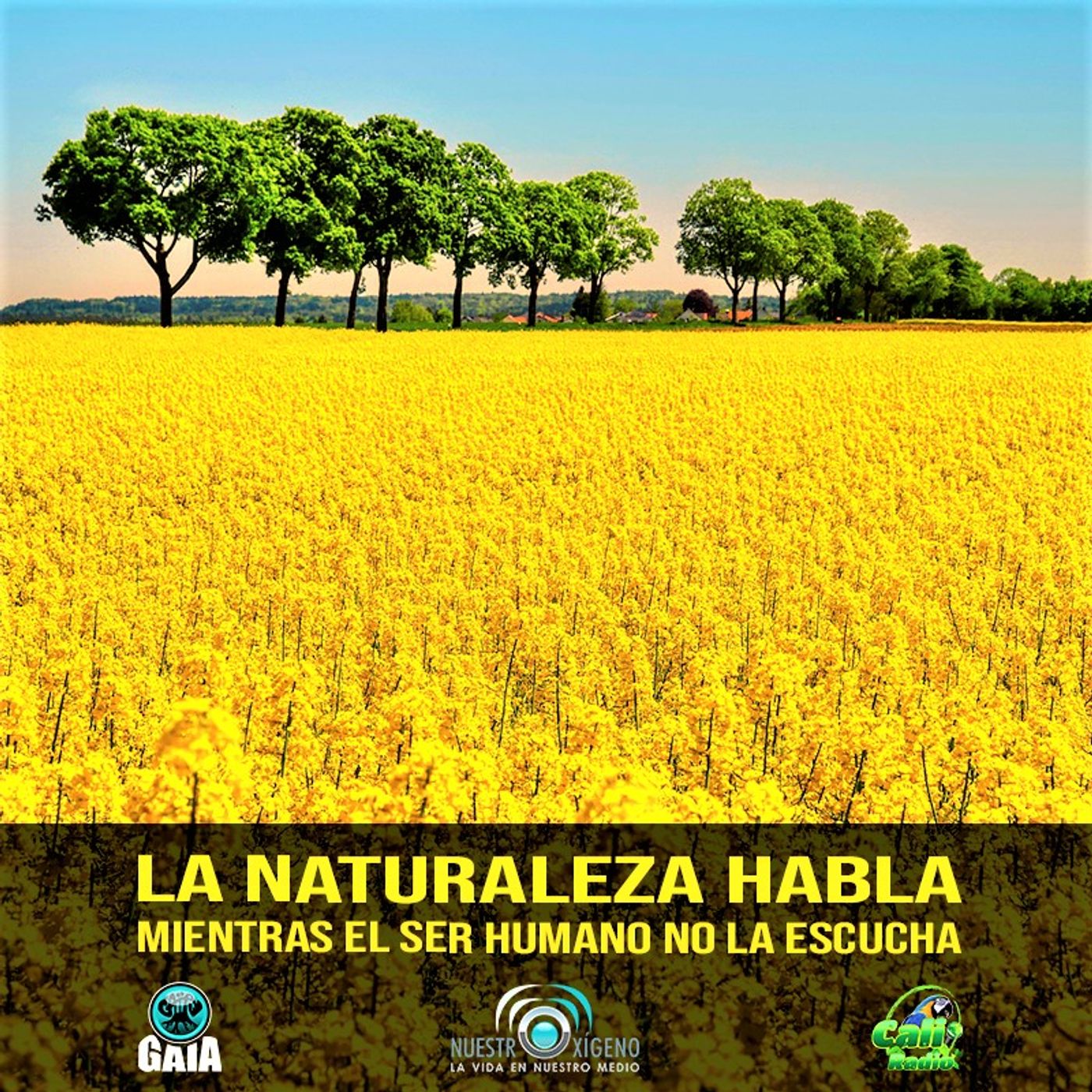 2022 Nuestro Oxigeno 05- Mayo
