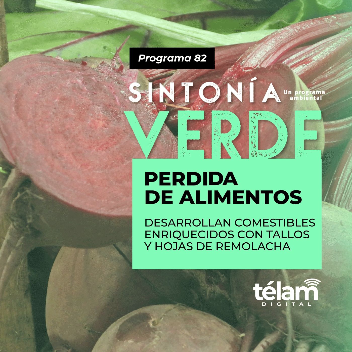 Sintonía Verde, un programa ambiental