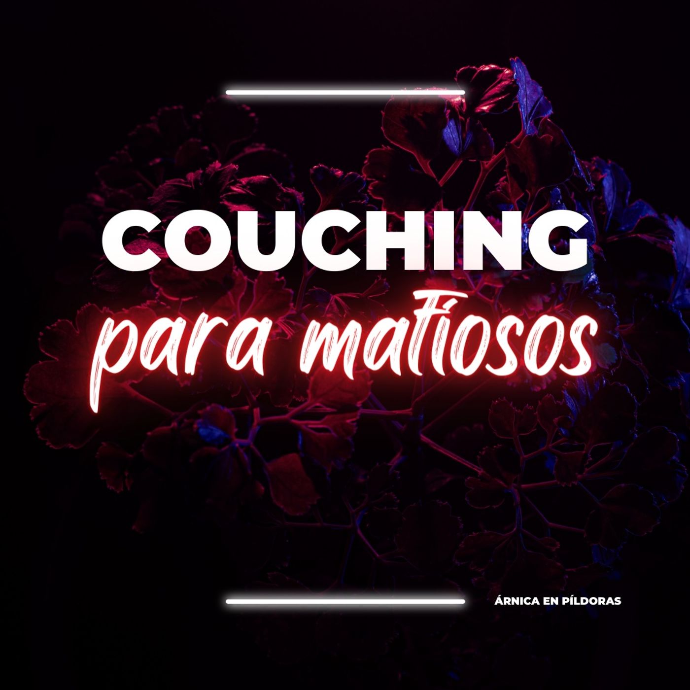 Couching para mafiosos