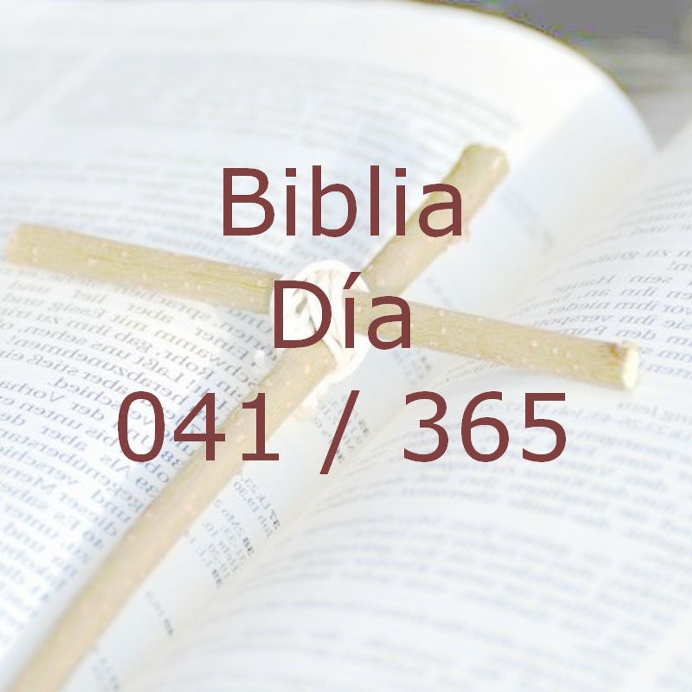 La Biblia en 365 dias
