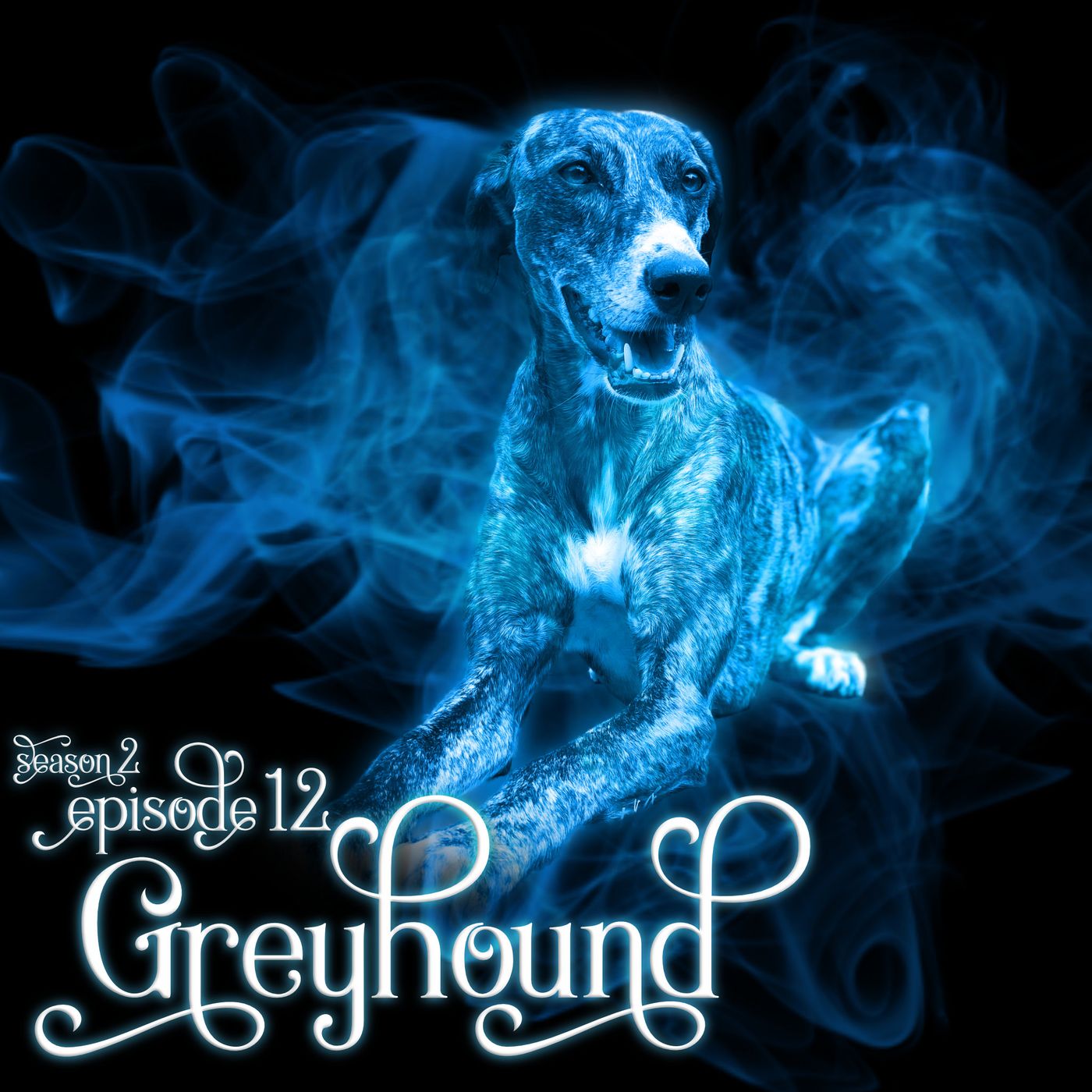 S2E12: Greyhound S2E12: Greyhound