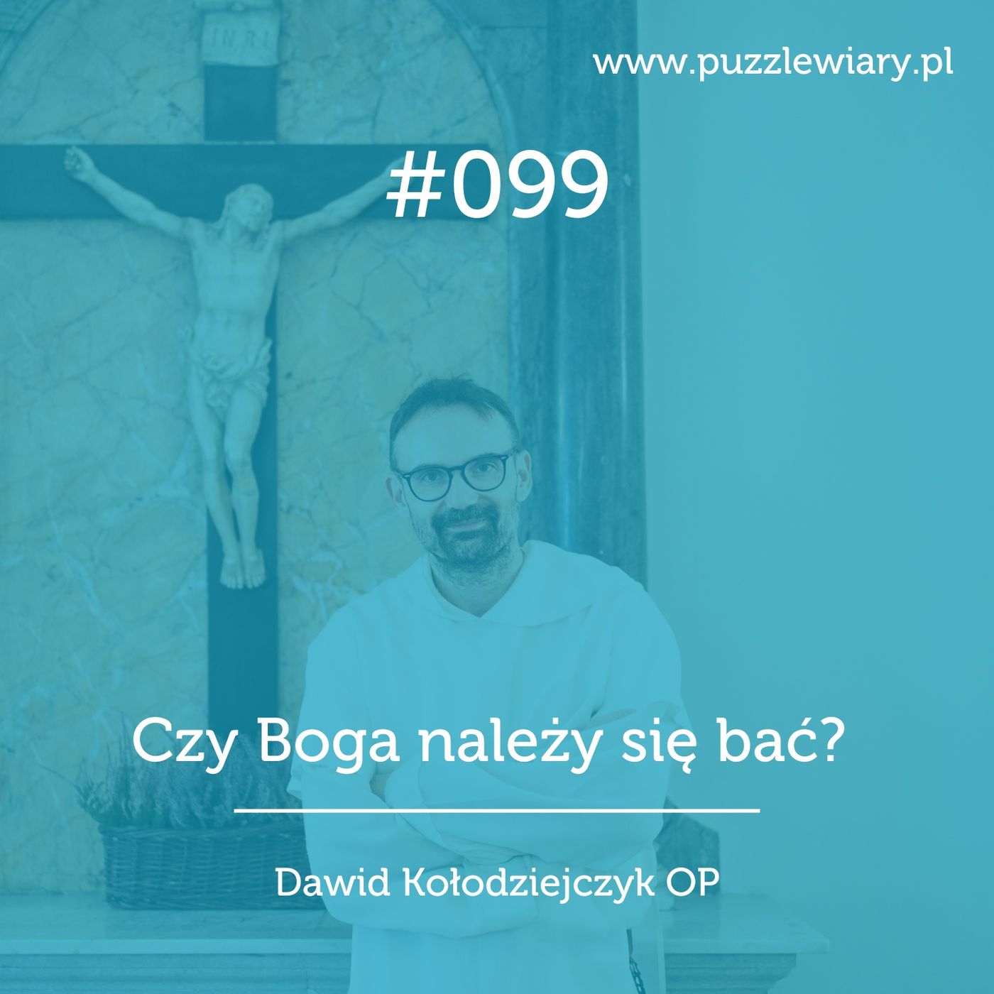 Puzzle Wiary