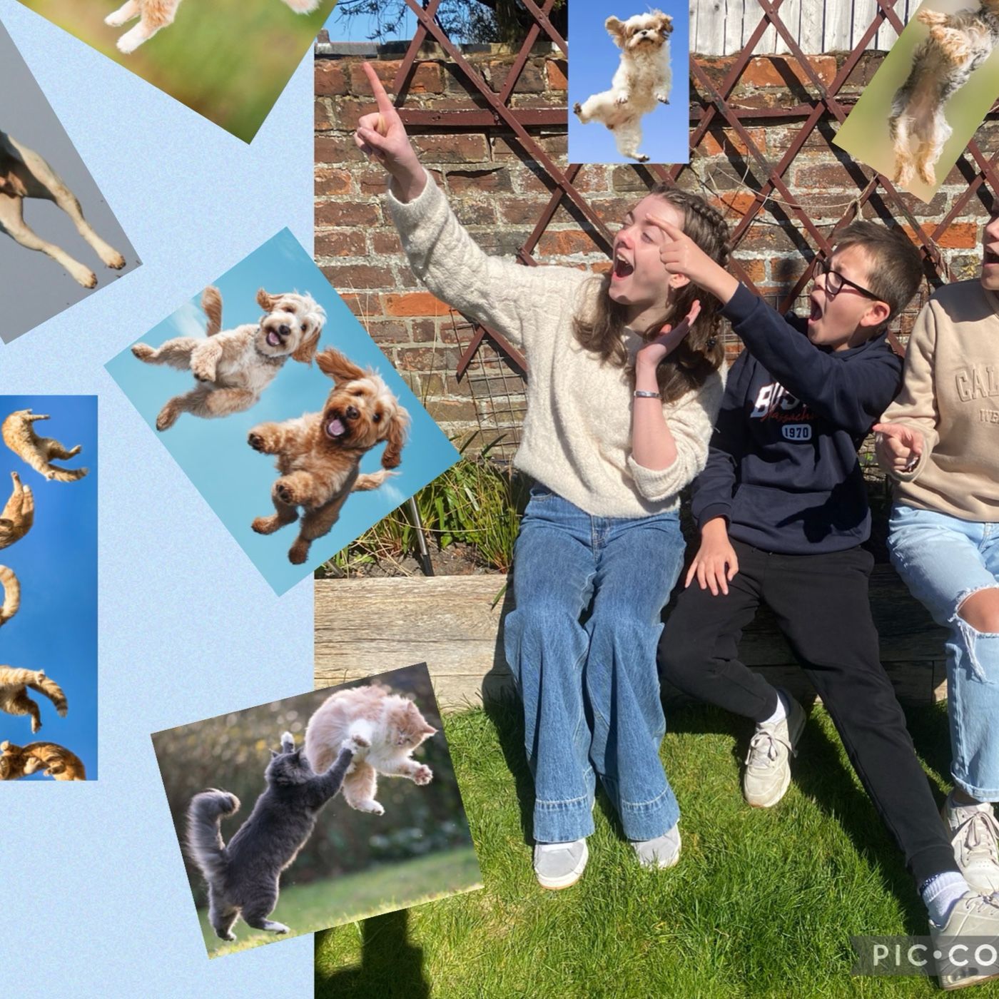 It’s Raining Cats And Dogs