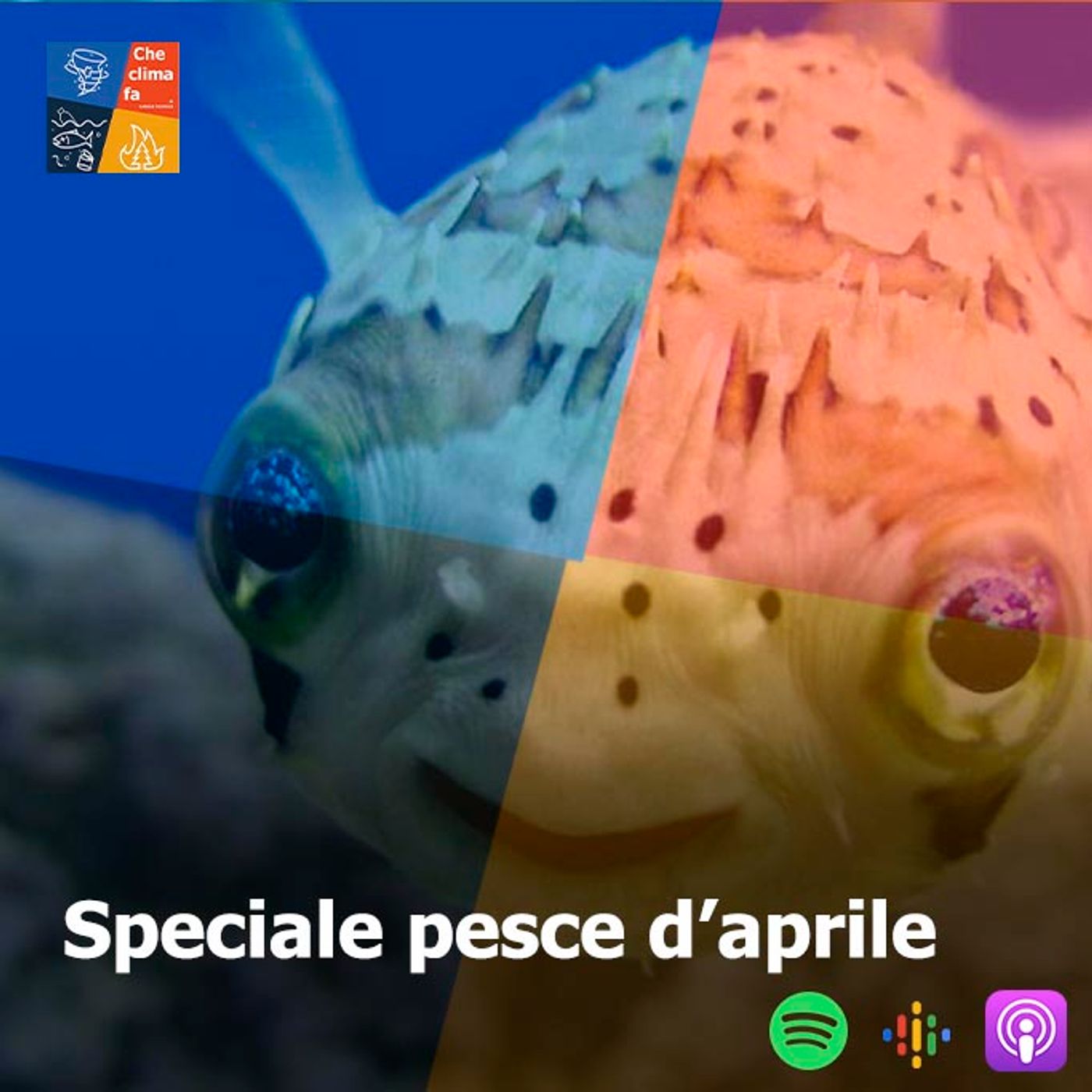 Che clima fa