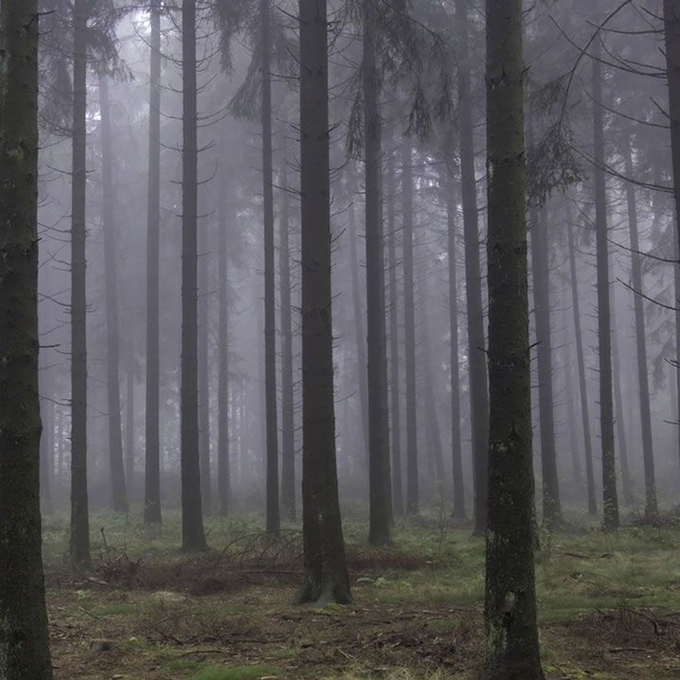 America\'s Hometown Horror